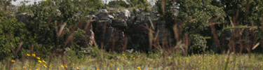 Quartzite